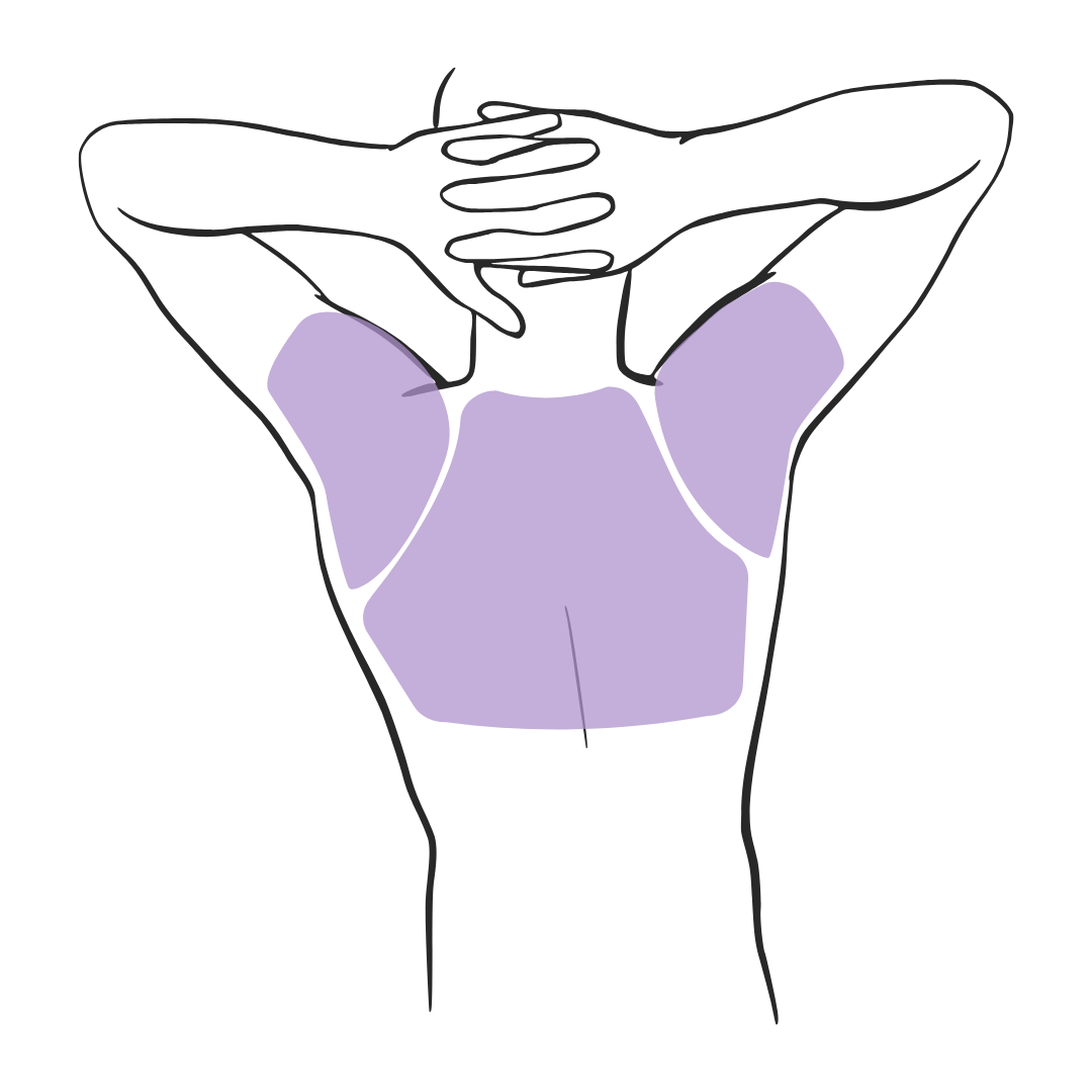 Bovenrug & Schouders (Achter) ♂️