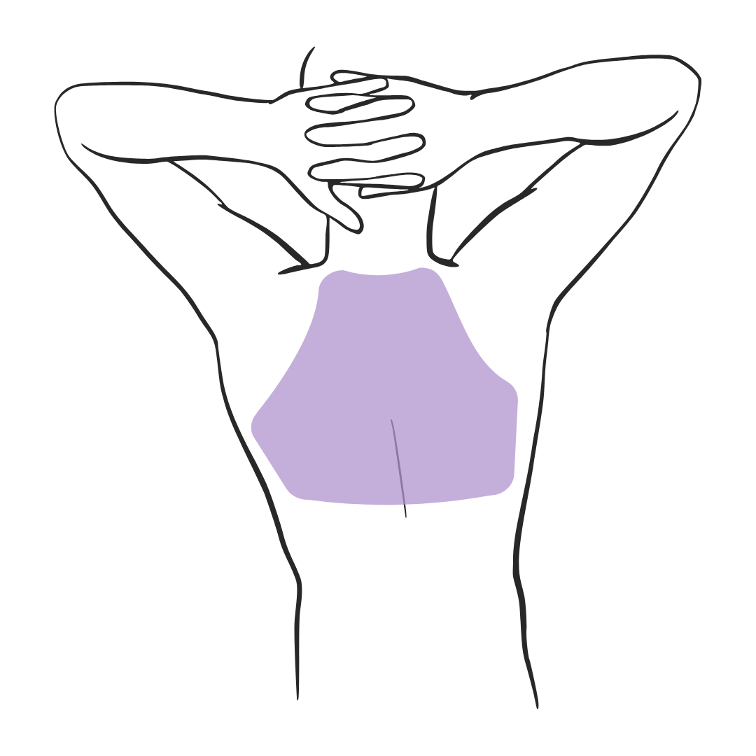 Bovenrug ♂️